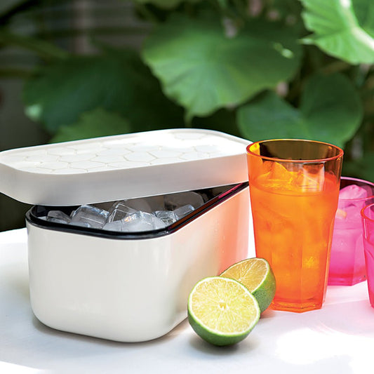Bac à glaçons Ice Box blanc – maryse cuisine