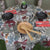 Nappe imperméable Maryse Cuisine